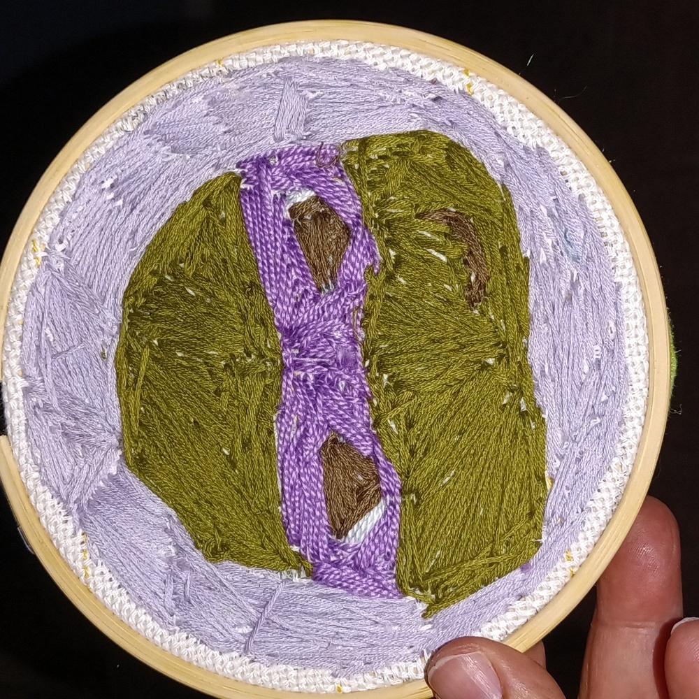 Handmade TMNT Embroidery Hoop Wall Art Donatello
